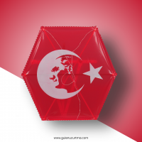ATABAYRAK - NAYLON ALTIGEN UÇURTMA ATABAYRAK - NAYLON ALTIGEN UÇURTMA